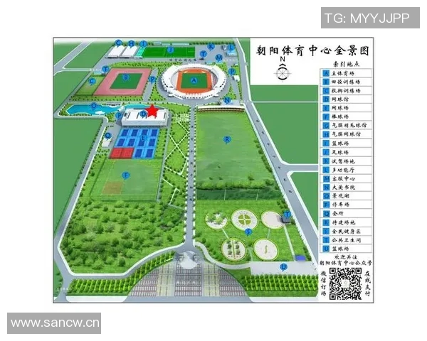 南京网球队的拼搏历程与荣耀时刻全景回顾 南京网球队的拼搏历程与荣耀时刻全景回顾