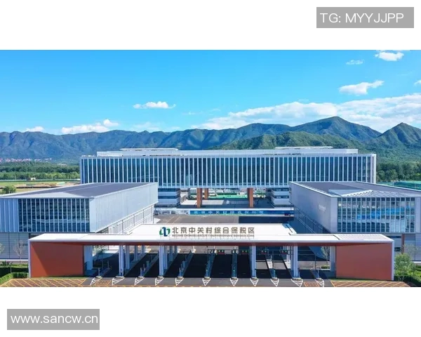 北京排球队比赛经验的创新与变革引发热议 北京排球队比赛经验的创新与变革引发热议